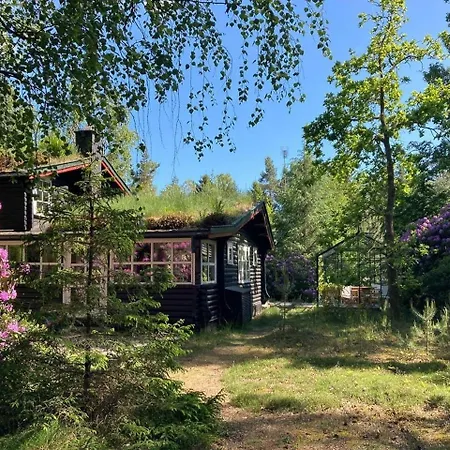 Hébergement de vacances Swedish Log By Asserbo Plantation